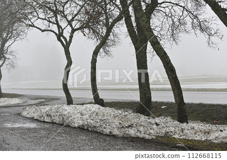 melting snow on the lawn and a road in the fog in a small town in Finland 112668115