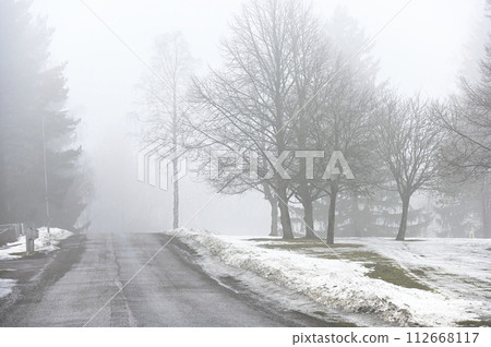 road and park in fog in early spring 112668117