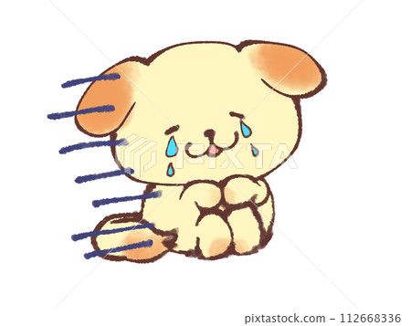 小狗坐在運動訓練中哭泣 小狗坐在運動訓練中哭泣 112668336