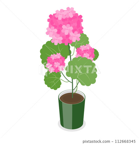 3D Isometric Flat Vector Set of Garden Flowers, Different Plants in Pots. Item 1 112668345