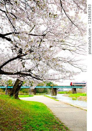 岡崎公園、櫻花盛開、名鐵列車平穩運行 岡崎公園、櫻花盛開、名鐵列車平穩運行 112668363