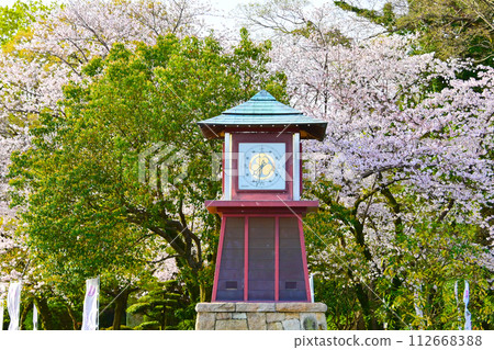 盛開的岡崎公園和機關鐘 盛開的岡崎公園和機關鐘 112668388