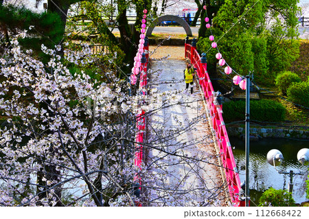 岡崎公園、盛開的龍星堀和朱紅色的神橋 岡崎公園、盛開的龍星堀和朱紅色的神橋 112668422