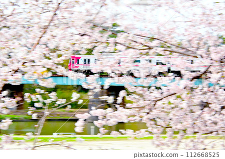 岡崎公園、櫻花盛開、名鐵列車平穩運行 112668525