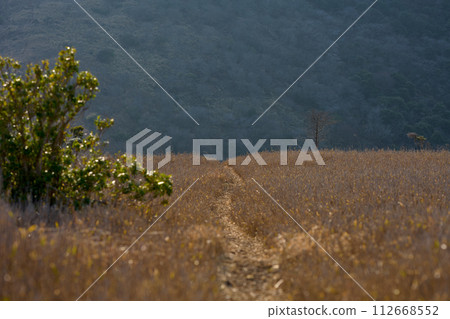 Hiking trail 112668552