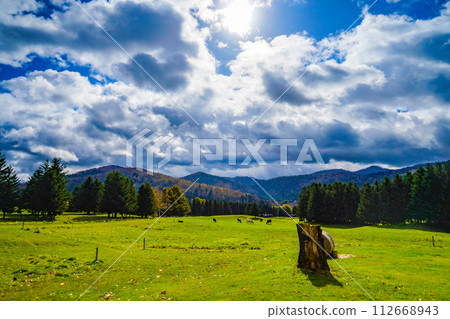 Tomamu 風景與多雲的天空 112668943