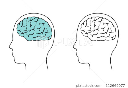 大腦的簡單圖解 大腦的簡單圖解 112669077
