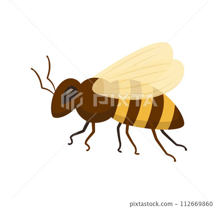 Bee icon isolated on white background. Honey flying bee. Insect. Vector illustration. Bee icon isolated on white background. Honey flying bee. Insect. Vector illustration. 112669860
