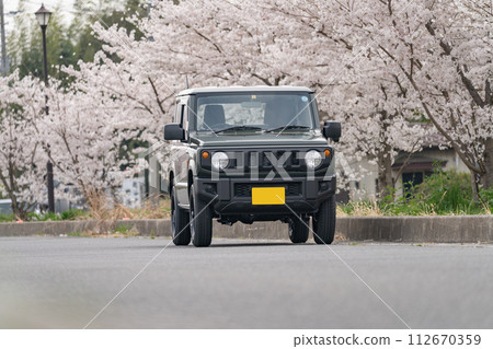 Cherry blossoms in full bloom 4WD light car driving drive Cherry blossoms in full bloom 4WD light car driving drive 112670359