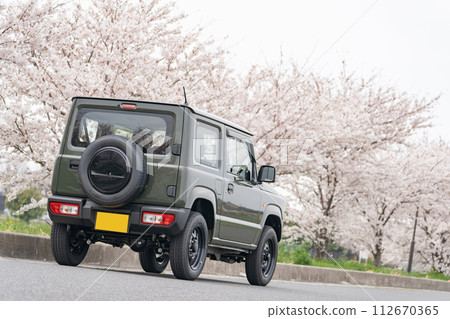 Cherry blossoms in full bloom 4WD light car driving drive Cherry blossoms in full bloom 4WD light car driving drive 112670365