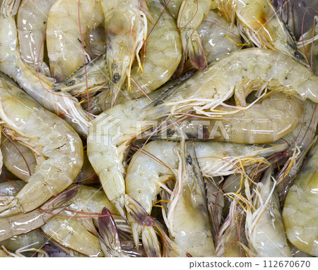 fresh shrimp, seafood It is an economic animal that is widely popular. All countries consume 112670670