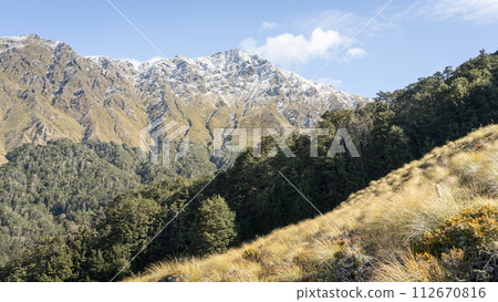 Autumn alpine landscape with exotic dense forest and snowy mountain towering above it, New Zealand Autumn alpine landscape with exotic dense forest and snowy mountain towering above it, New Zealand 112670816