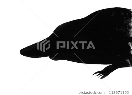 Silhouette of platypus drawn by hand on paper 112671593