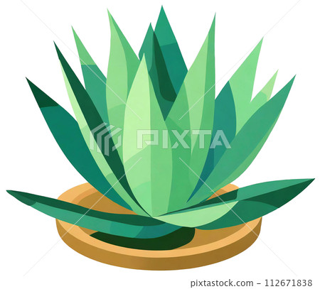 Agave isolated on transparent background. Agave... - Stock Illustration  [112671838] - PIXTA