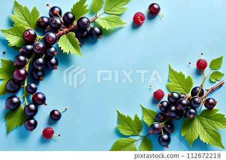 Blue background with black currants. Blue background with black currants. 112672219