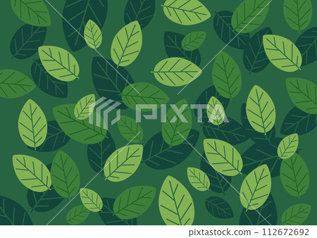 葉綠色圖案背景 112672692