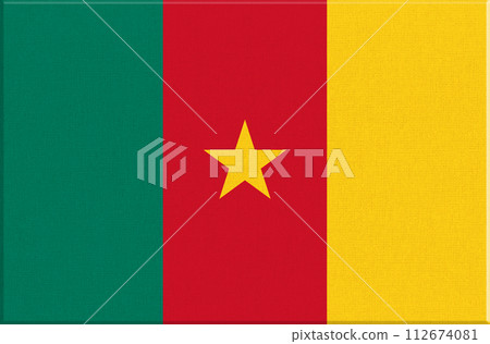Flag of Cameroon. Cameroonian national flag on textured background 112674081