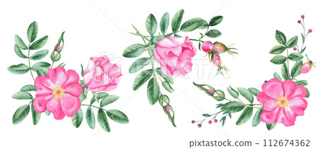 Watercolor dog rose corner bouquets set, composition from flowers, leaves and berries isolated on white background. Botanical hand drawn illustration. Watercolor dog rose corner bouquets set, composition from flowers, leaves and berries isolated on white background. Botanical hand drawn illustration. 112674362