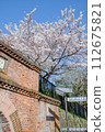 Twisted manpo cherry blossoms 112675821