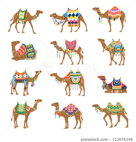 Camel. Decorative pictures of camels from sahara deserts recent vector illustrations set of stylized illustrations 112676146