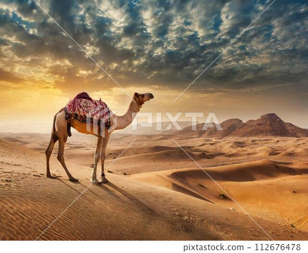 沙漠和駱駝的形象 112676478