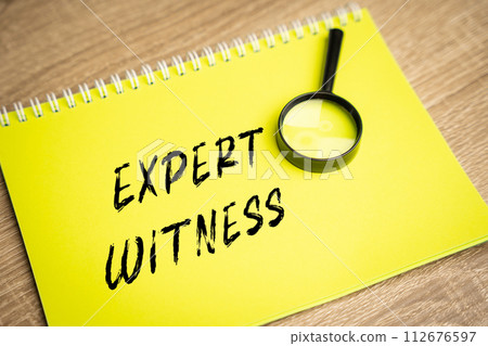 Expert witness inscription. Court cases process concept. Person who has special knowledge, skills and is called upon to express an opinion in legal proceedings. 112676597