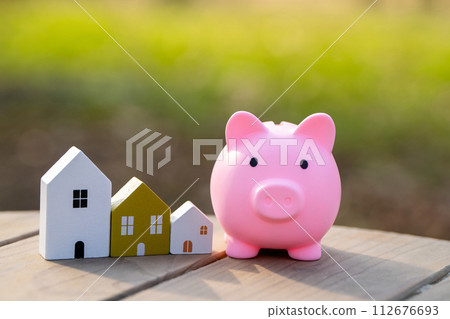 Wooden houses and piggy bank stands outdoors on a sunny day. Real estate and investments in housing concept. Mortgage, loan. Eco-friendly house 112676693