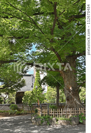 Urawa-juku Walk Nakasendo Urawa-juku/Okeyaki Gyokuzo-in Shingon Sect Toyozan-ha 112678484