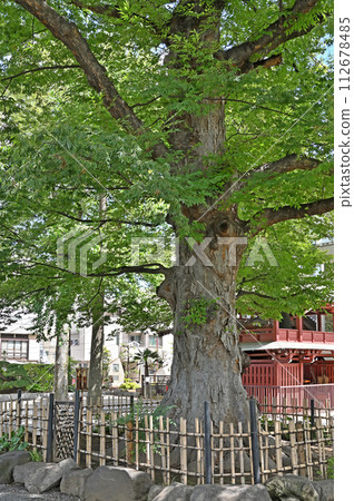 浦和宿 散步 中山道 浦和宿/禦燒玉藏院 真言宗豐山派 浦和宿 散步 中山道 浦和宿/禦燒玉藏院 真言宗豐山派 112678485