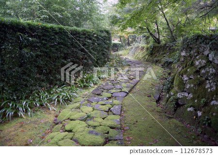 滋賀郡愛知郡愛莊町金剛林寺,從赤門到本寺的參道 滋賀郡愛知郡愛莊町金剛林寺,從赤門到本寺的參道 112678573