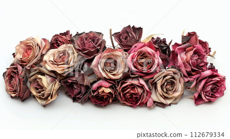 幹玫瑰花束 幹玫瑰花束 112679334