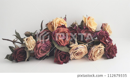 幹玫瑰花束 幹玫瑰花束 112679335