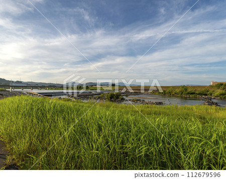 綠意盎然的大和川和柏原堰的夏日風景 112679596
