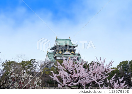 Collaboration scene of castle tower and plum blossoms in full bloom seen against the blue sky 112679598