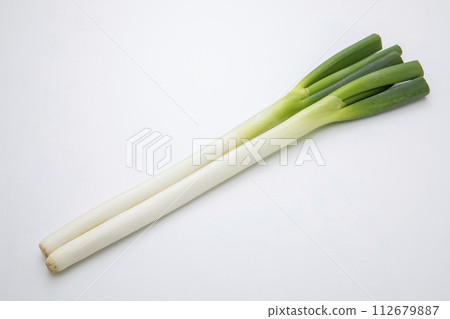 白洋蔥 112679887