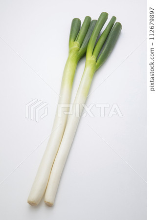 白洋蔥 112679897