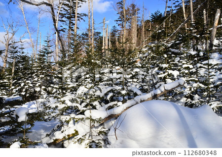 Lake Shikaribetsu is located in Tokachi subprefecture, Eastern Hokkaido, Japan. It hidden up deep in the Daisetsuzan mountains in the middle of the Shikaribetsu volcanic group at an elevation of 810 Lake Shikaribetsu is located in Tokachi subprefecture, Eastern Hokkaido, Japan. It hidden up deep in the Daisetsuzan mountains in the middle of the Shikaribetsu volcanic group at an elevation of 810 112680348