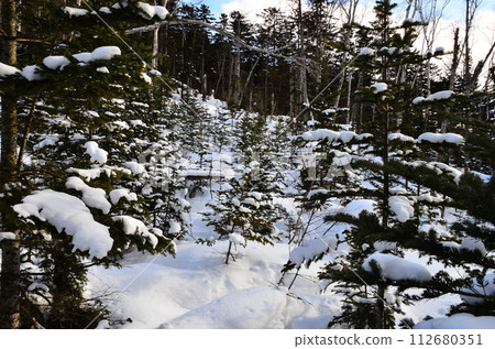 Lake Shikaribetsu is located in Tokachi subprefecture, Eastern Hokkaido, Japan. It hidden up deep in the Daisetsuzan mountains in the middle of the Shikaribetsu volcanic group at an elevation of 810 112680351