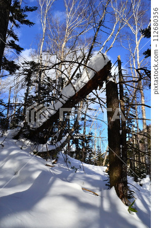 Lake Shikaribetsu is located in Tokachi subprefecture, Eastern Hokkaido, Japan. It hidden up deep in the Daisetsuzan mountains in the middle of the Shikaribetsu volcanic group at an elevation of 810 Lake Shikaribetsu is located in Tokachi subprefecture, Eastern Hokkaido, Japan. It hidden up deep in the Daisetsuzan mountains in the middle of the Shikaribetsu volcanic group at an elevation of 810 112680356