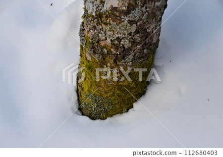 Lake Shikaribetsu is located in Tokachi subprefecture, Eastern Hokkaido, Japan. It hidden up deep in the Daisetsuzan mountains in the middle of the Shikaribetsu volcanic group at an elevation of 810 Lake Shikaribetsu is located in Tokachi subprefecture, Eastern Hokkaido, Japan. It hidden up deep in the Daisetsuzan mountains in the middle of the Shikaribetsu volcanic group at an elevation of 810 112680403