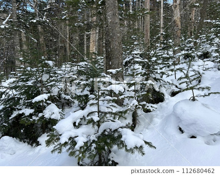 Lake Shikaribetsu is located in Tokachi subprefecture, Eastern Hokkaido, Japan. It hidden up deep in the Daisetsuzan mountains in the middle of the Shikaribetsu volcanic group at an elevation of 810 112680462