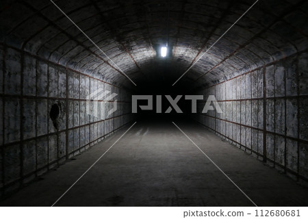 Amami Oshima is the largest island in the Satsunan island chain that runs between Kyushu and Okinawa and belongs to Kagoshima Prefecture.  112680681