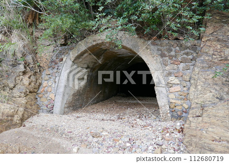 Amami Oshima is the largest island in the Satsunan island chain that runs between Kyushu and Okinawa and belongs to Kagoshima Prefecture.  112680719