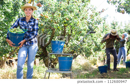 Three workers picking pears 112680947