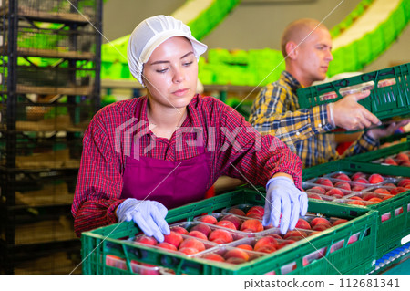 European Woman and man working European Woman and man working 112681341