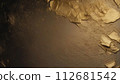 金葉紋理 112681542