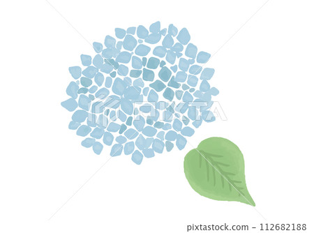 水彩風格淺藍色繡球花插畫 112682188