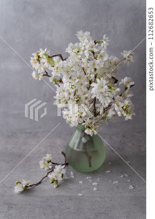 插在花瓶裡的櫻花 112682653