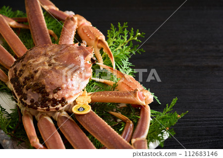 Live Echizen crab from Fukui Prefecture 112683146