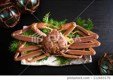 Live Echizen crab from Fukui Prefecture 112683170